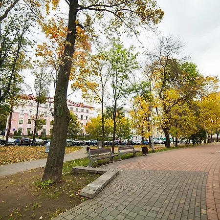 Korolya 20