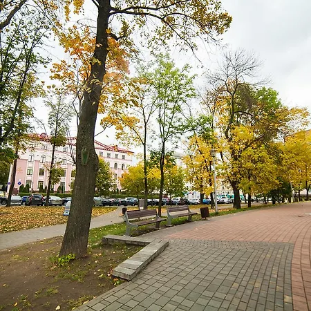королева 20